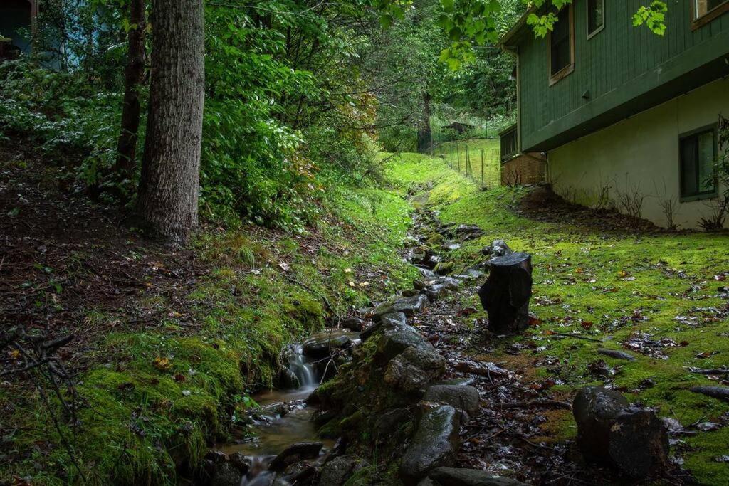 Pets! 2 Fireplaces! Game Room! Creek! View! Maggie Valley Exterior photo